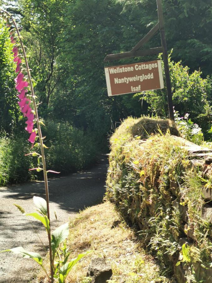 Wellstone Cottages - Ivy Llanfyrnach Luaran gambar